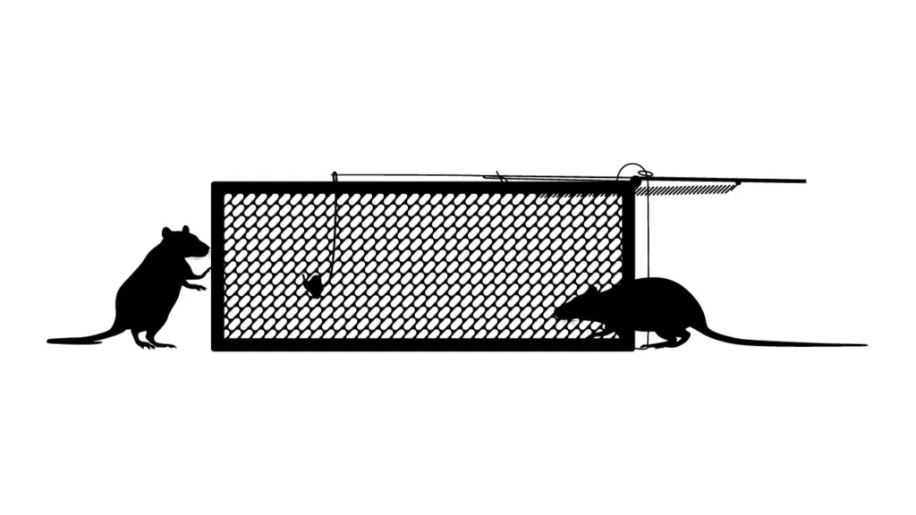are electric rat traps effective